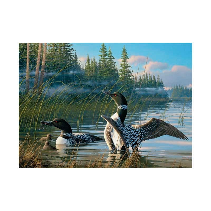 COMMON LOONS 1000PCS