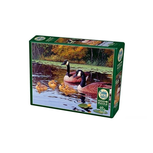 PLATTS POND 1000PCS