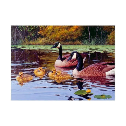 PLATTS POND 1000PCS