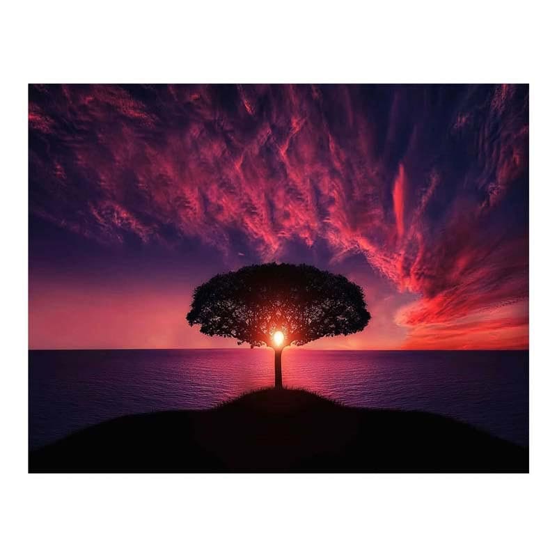 [DP] SUNSET TREE 40X50 CM