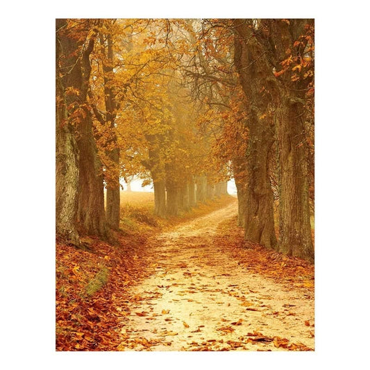 [DP] AUTUMM ROAD 40X50 CM